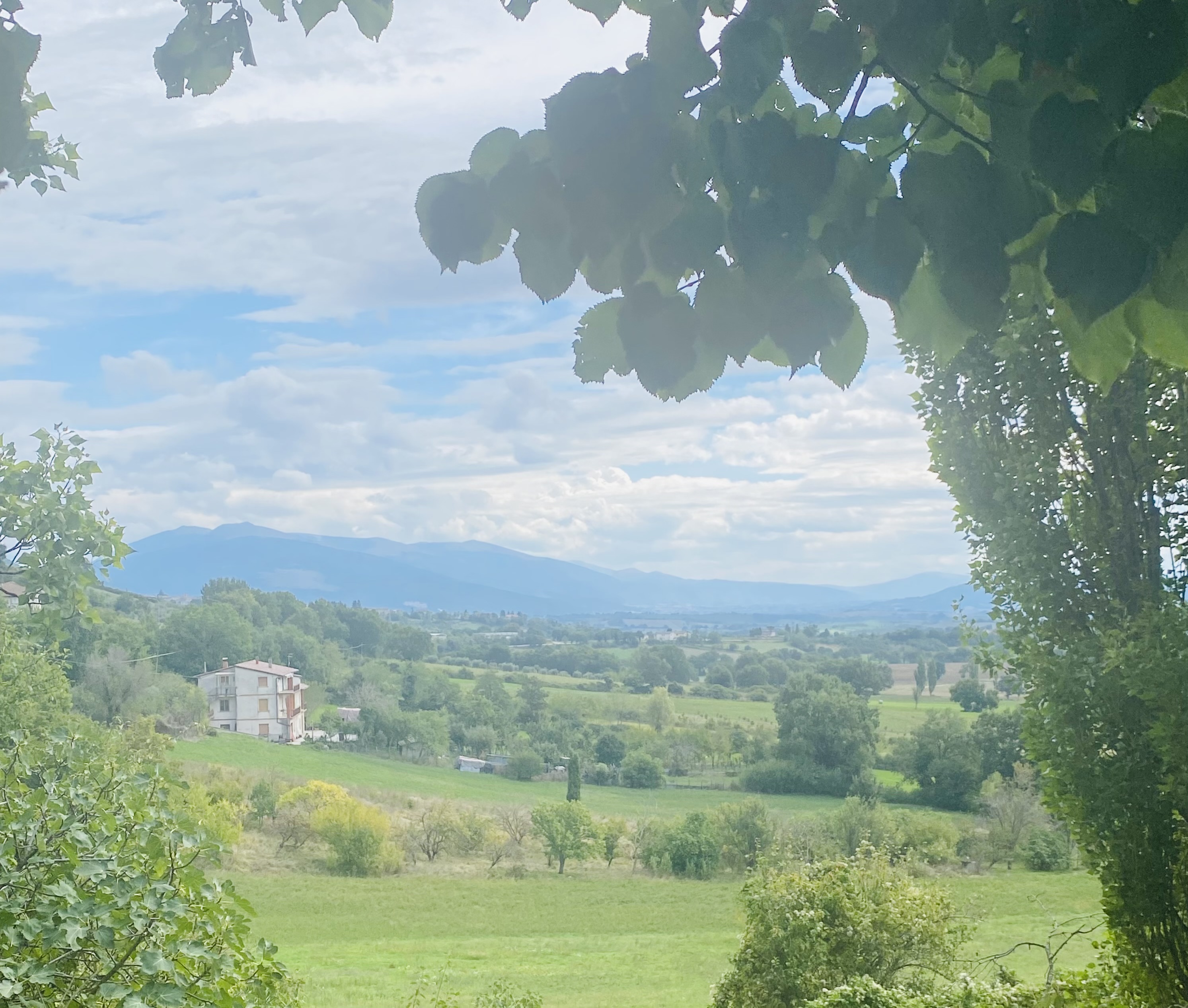A peaceful valley framed by leaves
